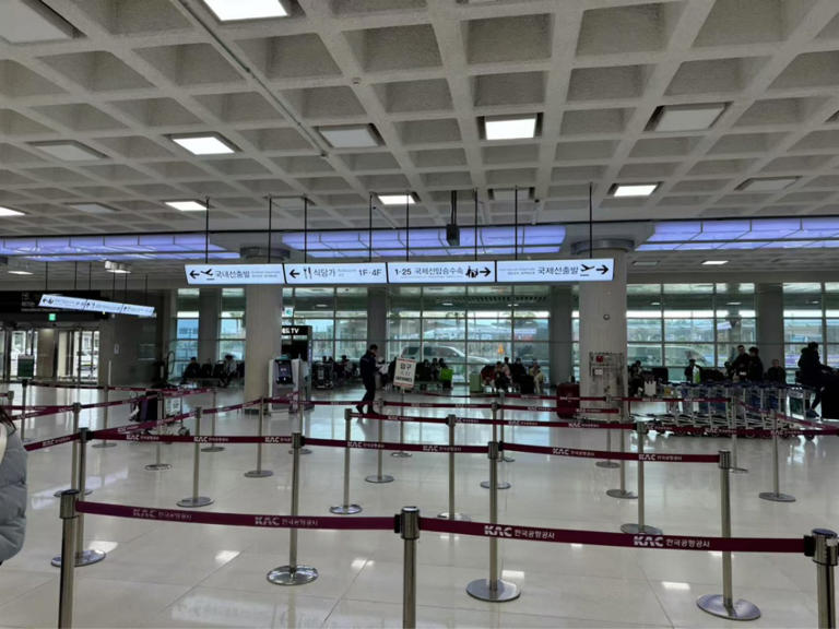 韩国客机事故乘客聊天记录曝光，原打算乘该机的中国游客：考虑坐船回国